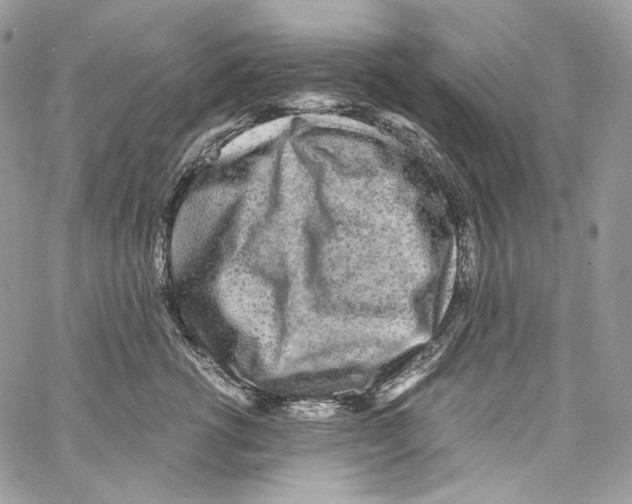 X0000067000762200604241404