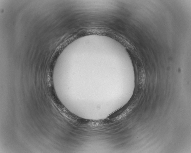 X0000067000764200604241404