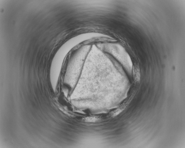 X0000067000766200604241404