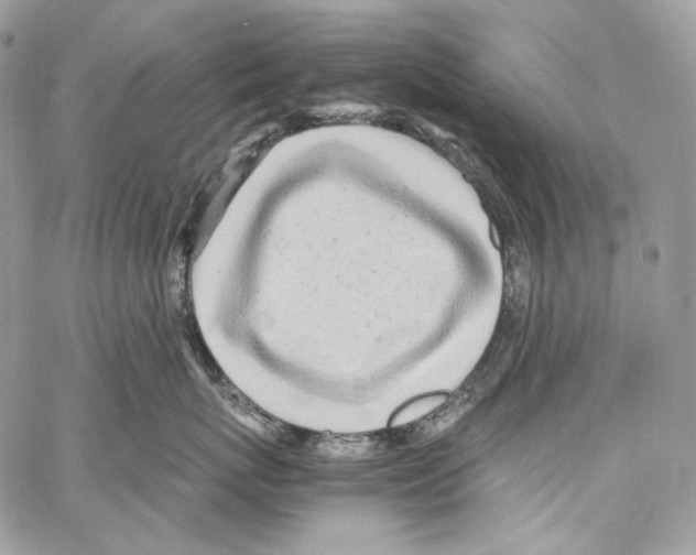 X0000067000767200604241404