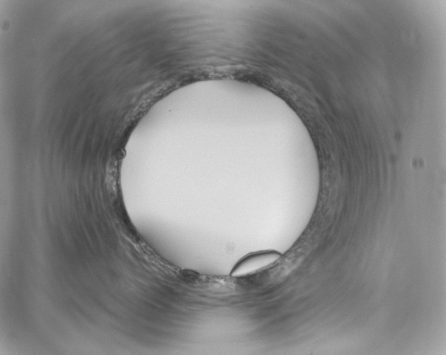 X0000067000768200604241404