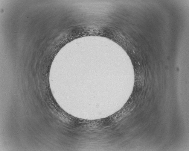 X0000067000769200604241403