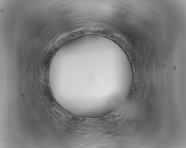 X0000067000773200604241403