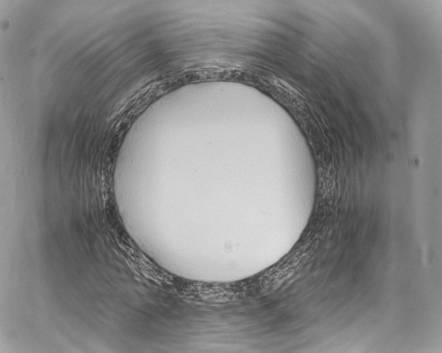 X0000067000774200604241403