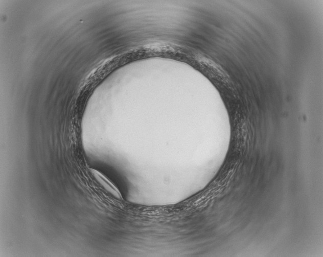 X0000067000776200604241403