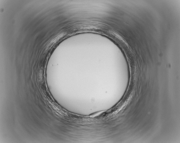 X0000067000777200604241403