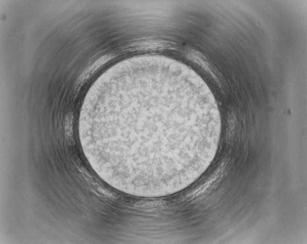 X0000067000778200604241403