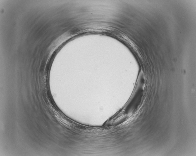 X0000067000779200604241403