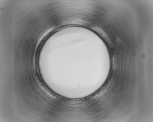 X0000067000780200604241403