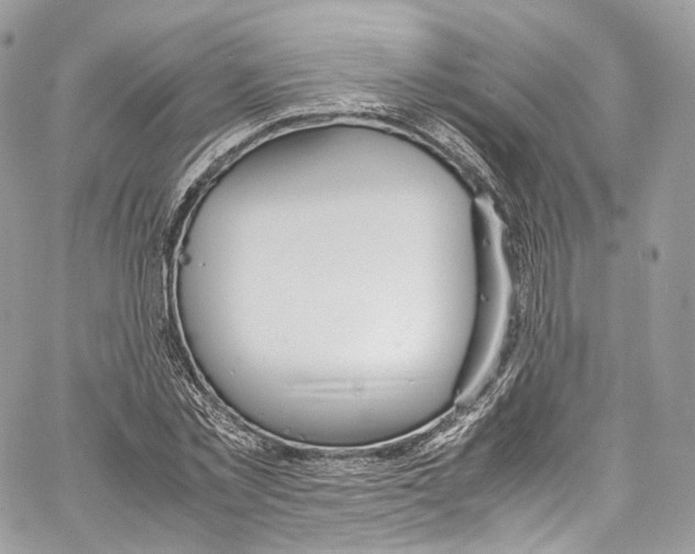 X0000067000781200604241403