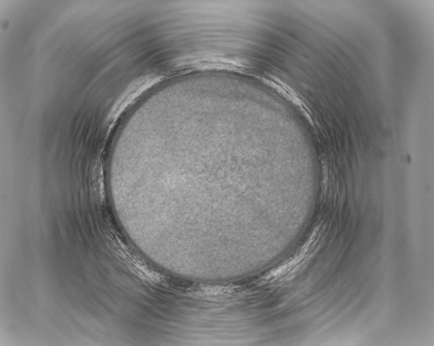 X0000067000782200604241403