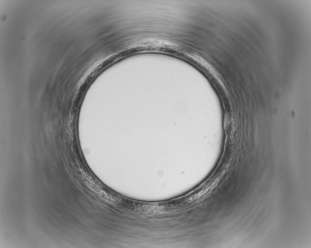 X0000067000783200604241403