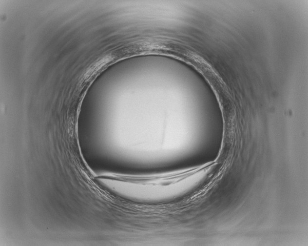 X0000067000785200604241403