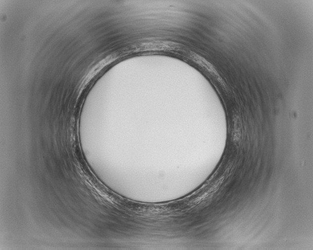 X0000067000786200604241403