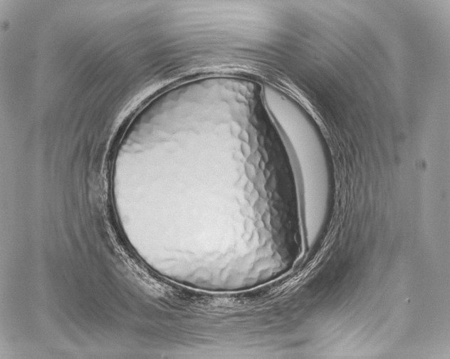 X0000067000787200604241403