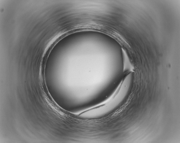 X0000067000788200604241403