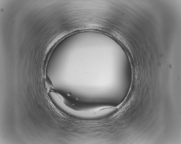 X0000067000789200604241403