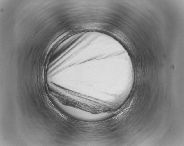 X0000067000790200604241403