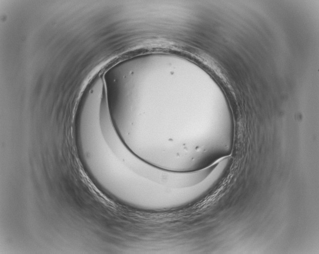 X0000067000791200604241403