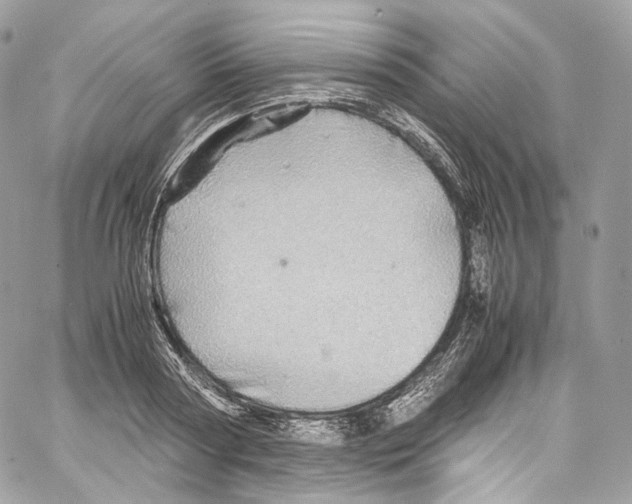 X0000067000794200604241403