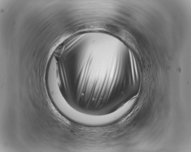 X0000067000797200604241403