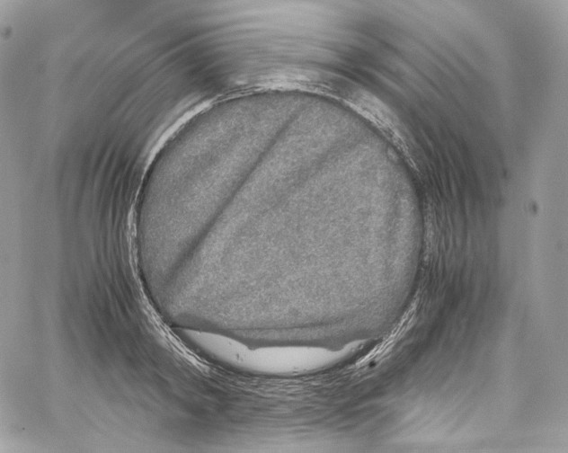 X0000067000798200604241403