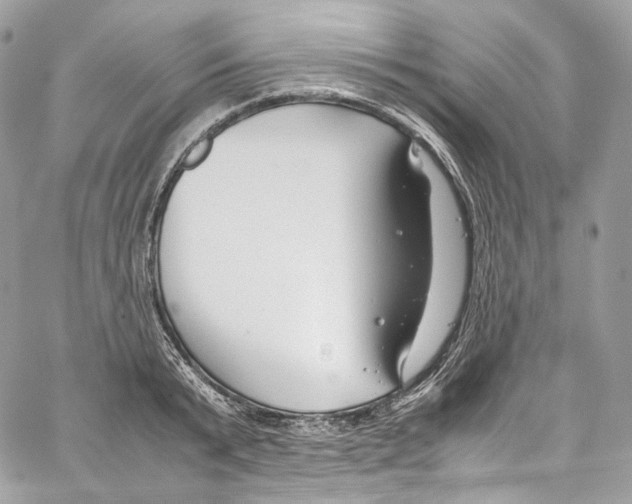 X0000067000799200604241403