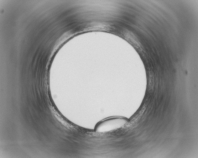 X0000067000800200604241403