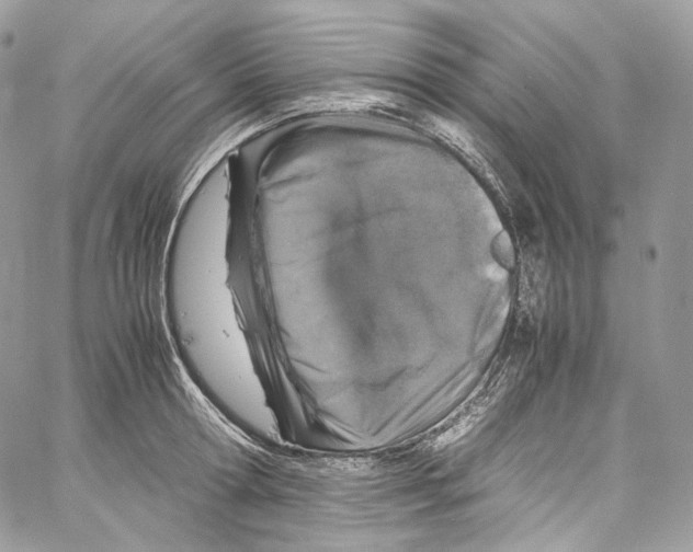 X0000067000802200604241403