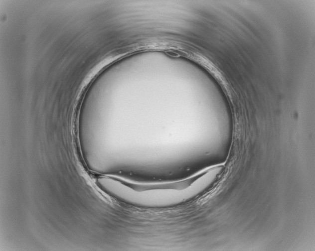 X0000067000803200604241403