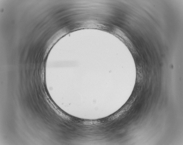 X0000067000804200604241403