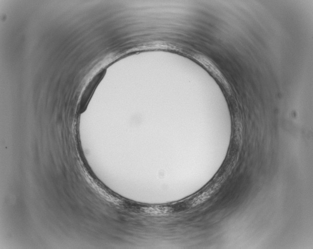 X0000067000805200604241403