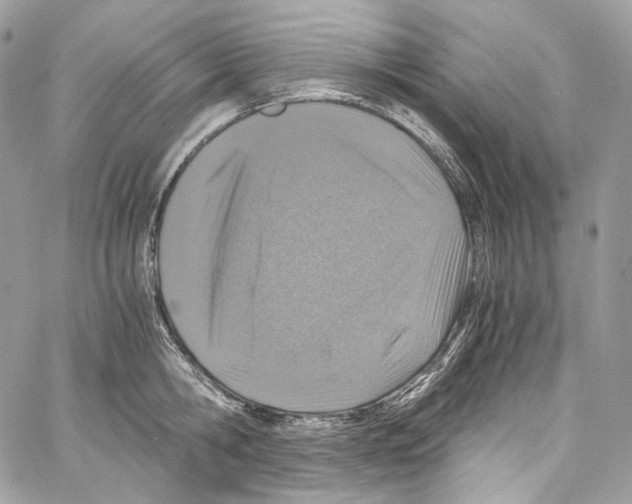 X0000067000806200604241403