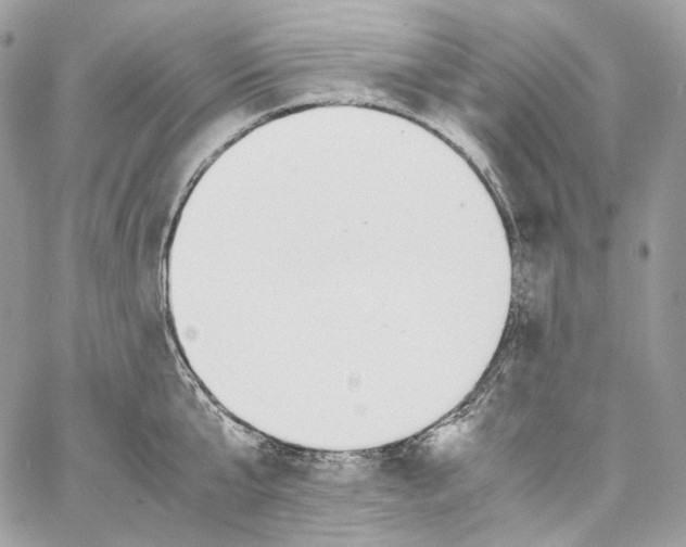 X0000067000807200604241403