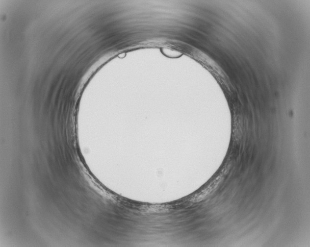 X0000067000808200604241403