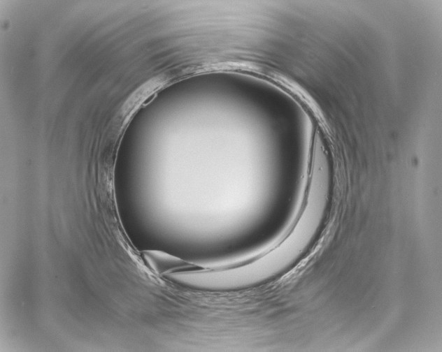 X0000067000809200604241403