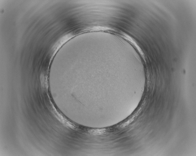 X0000067000810200604241403