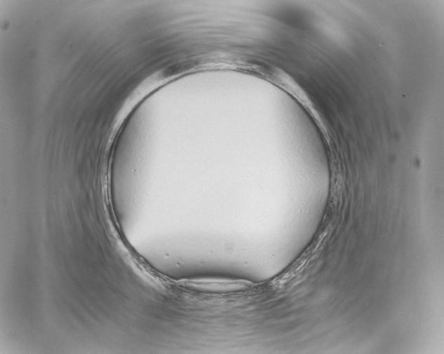 X0000067000811200604241403