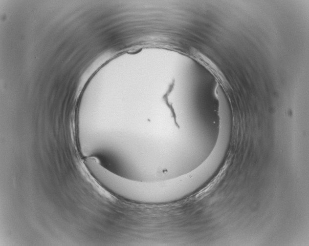 X0000067000812200604241403