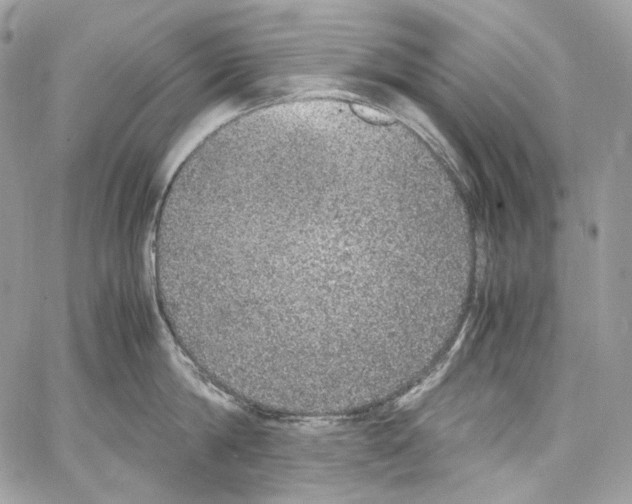 X0000067000814200604241403