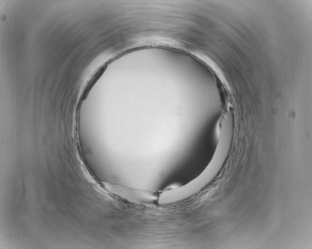 X0000067000815200604241403