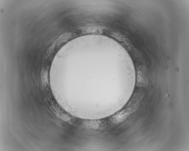 X0000067000820200604241402