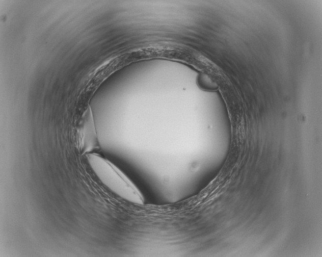 X0000067000822200604241402