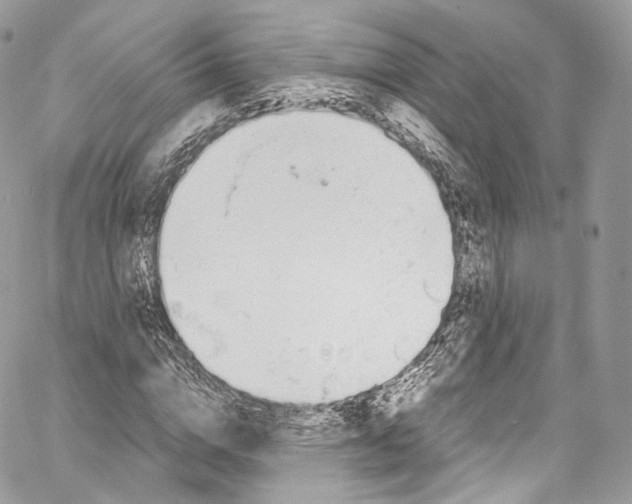 X0000067000824200604241402