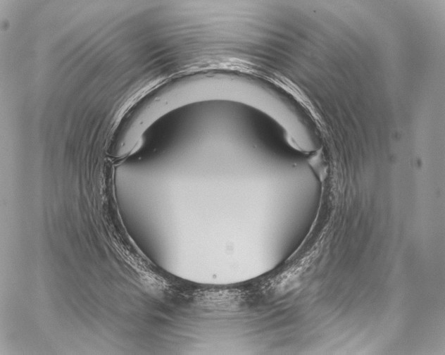 X0000067000826200604241402