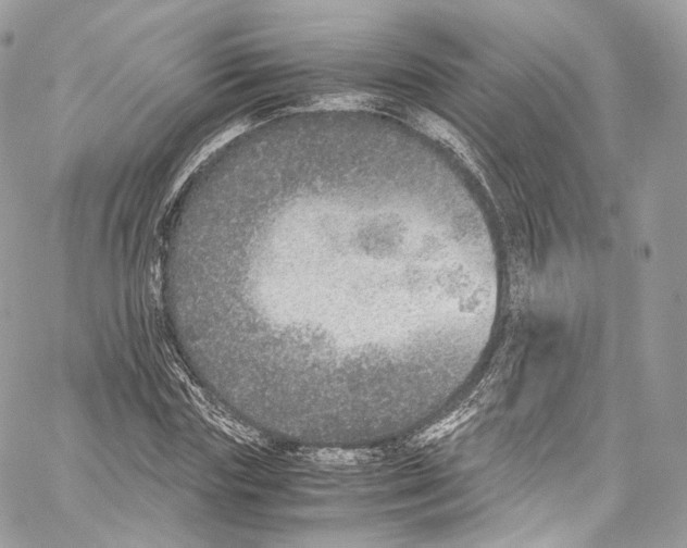 X0000067000827200604241402