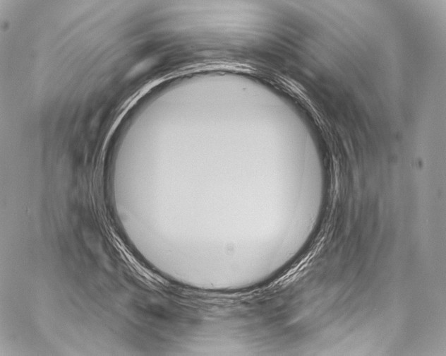 X0000067000828200604241402