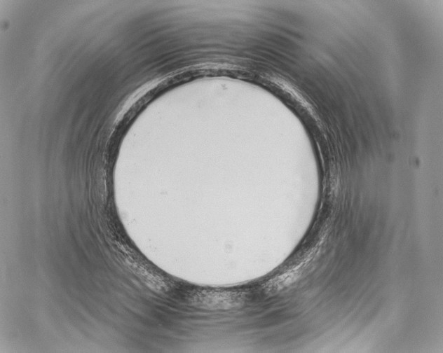 X0000067000829200604241402