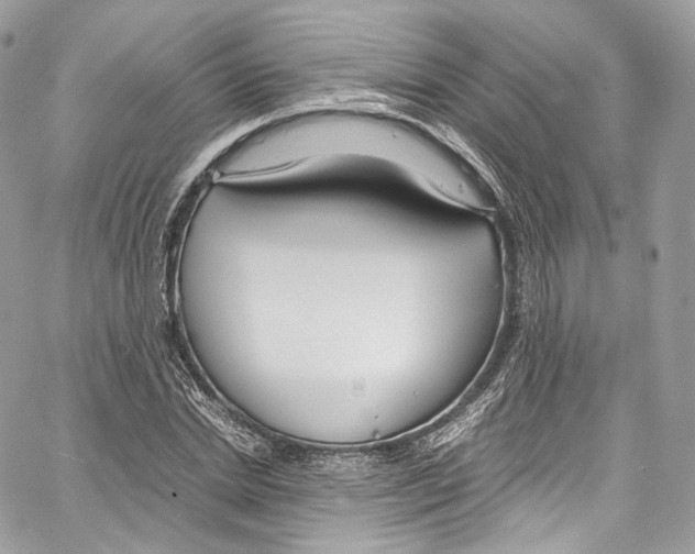 X0000067000830200604241402