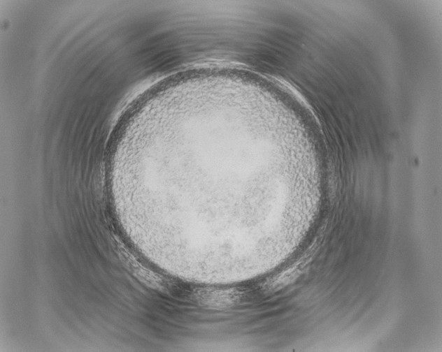 X0000067000831200604241402